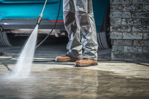 Best Driveway Pressure Washing  in Salamanca, NY