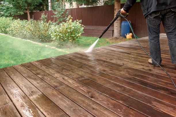 Best Pre-Holiday Cleaning  in Salamanca, NY